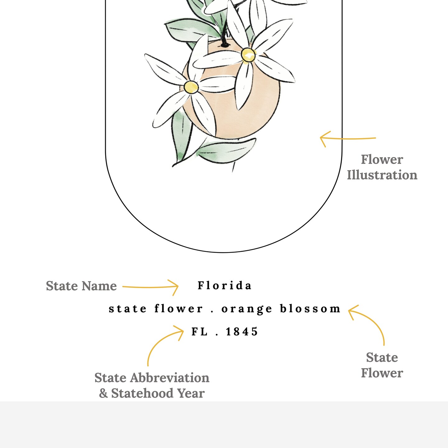 Florida State Flower Print | Unframed FL Orange Blossom USA State Illustrated Floral Art product 4