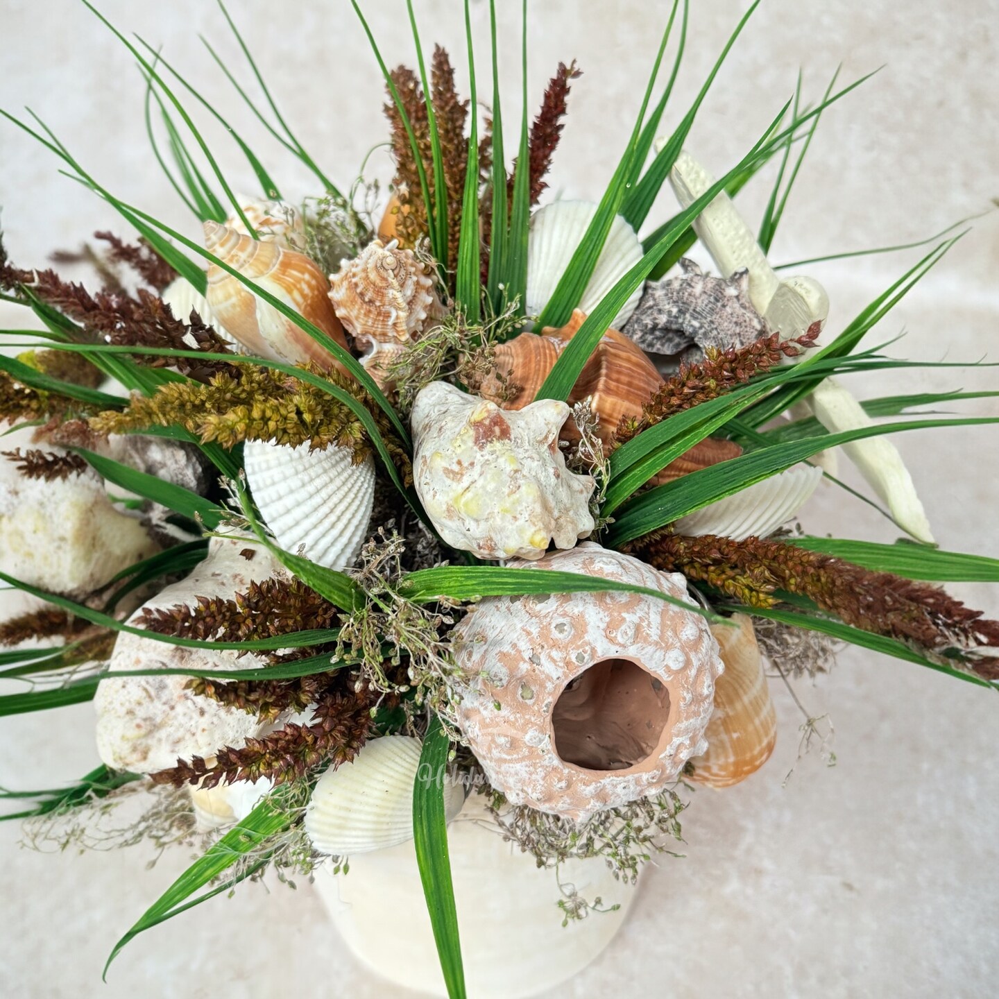 11&#x22; Shell Arrangement Centerpiece