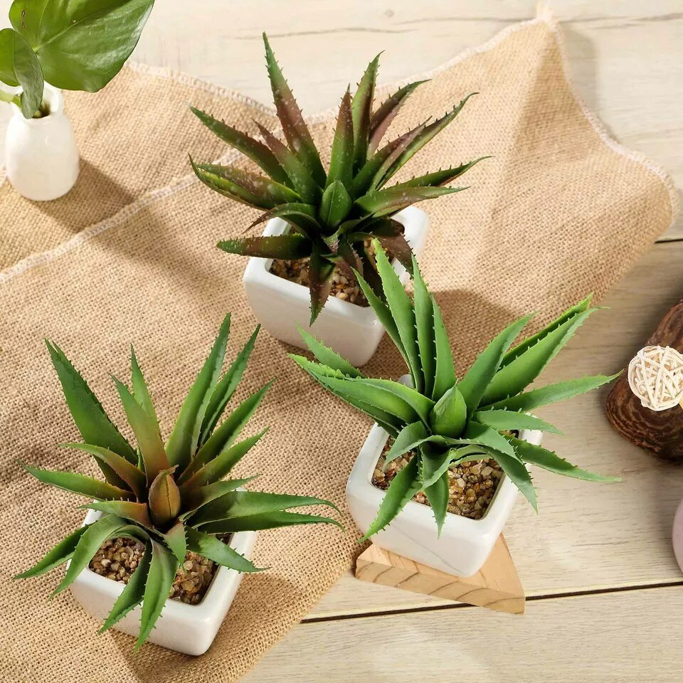Green 3 Assorted 5" Faux Realistic Aloe Succulent Plants Off White Pots