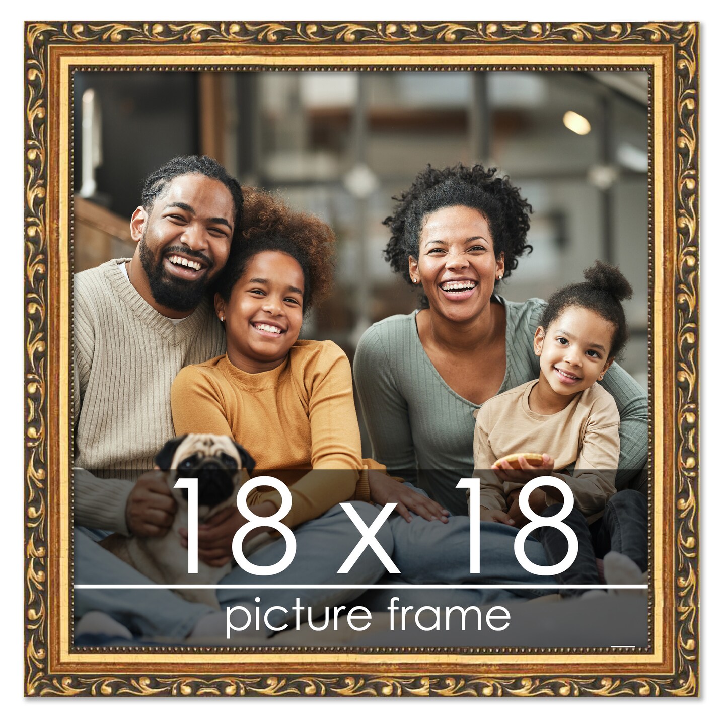 18x18 Solid Wood Antique Picture Frame with UV-Resistant Acrylic & Acid-Free Backing, Available in 4 Finishes: Bronze, Gold, Silver, and Gold with Black