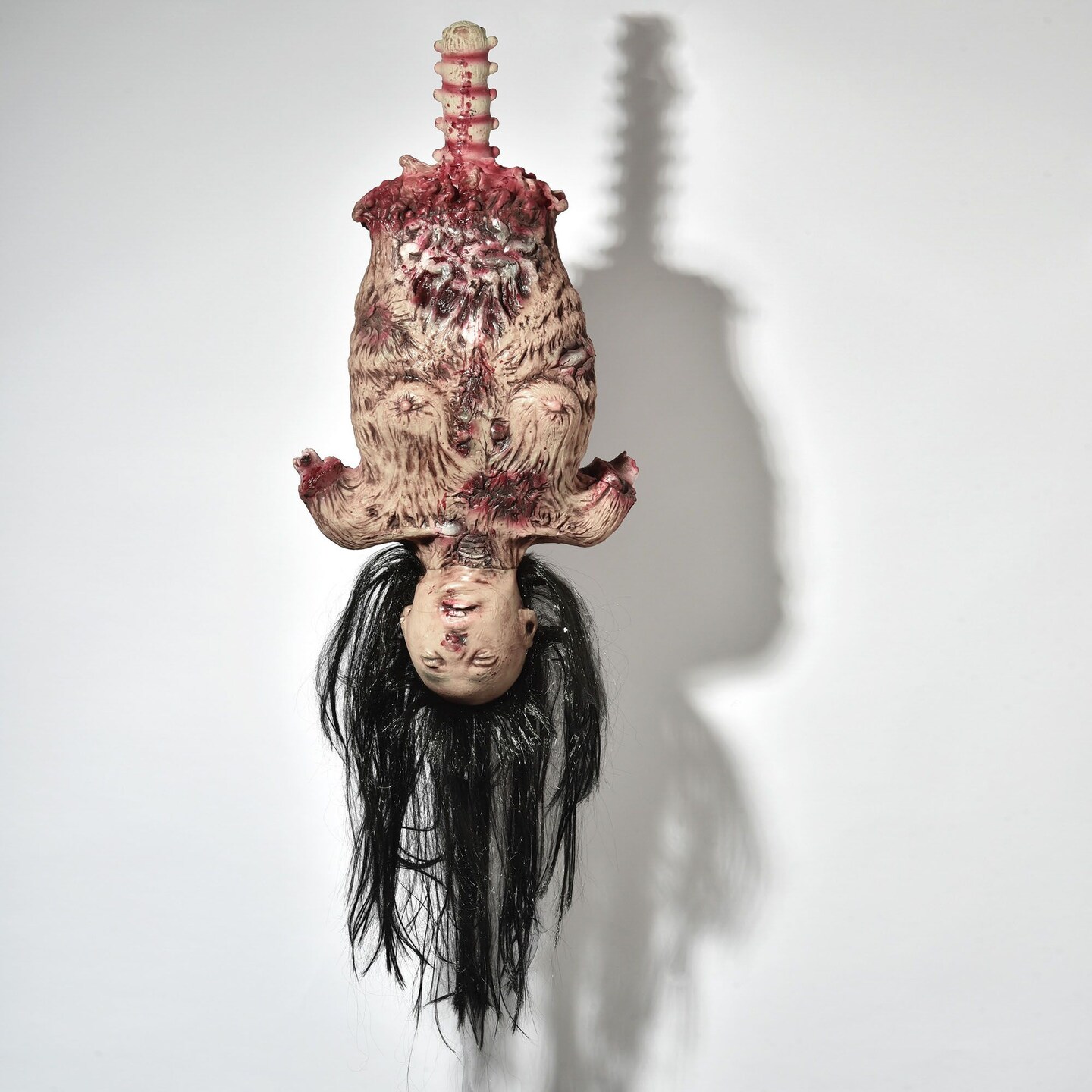 Halloween 16.1 Inch Limbless Woman Hanging Skeleton Prop