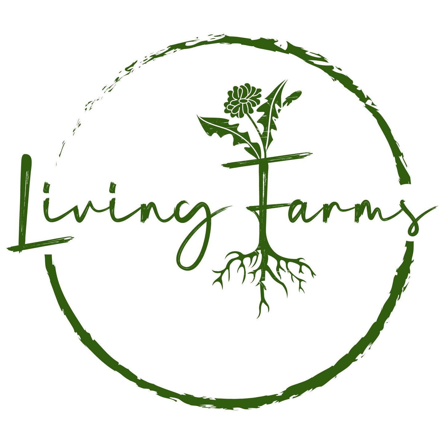 storefront logo