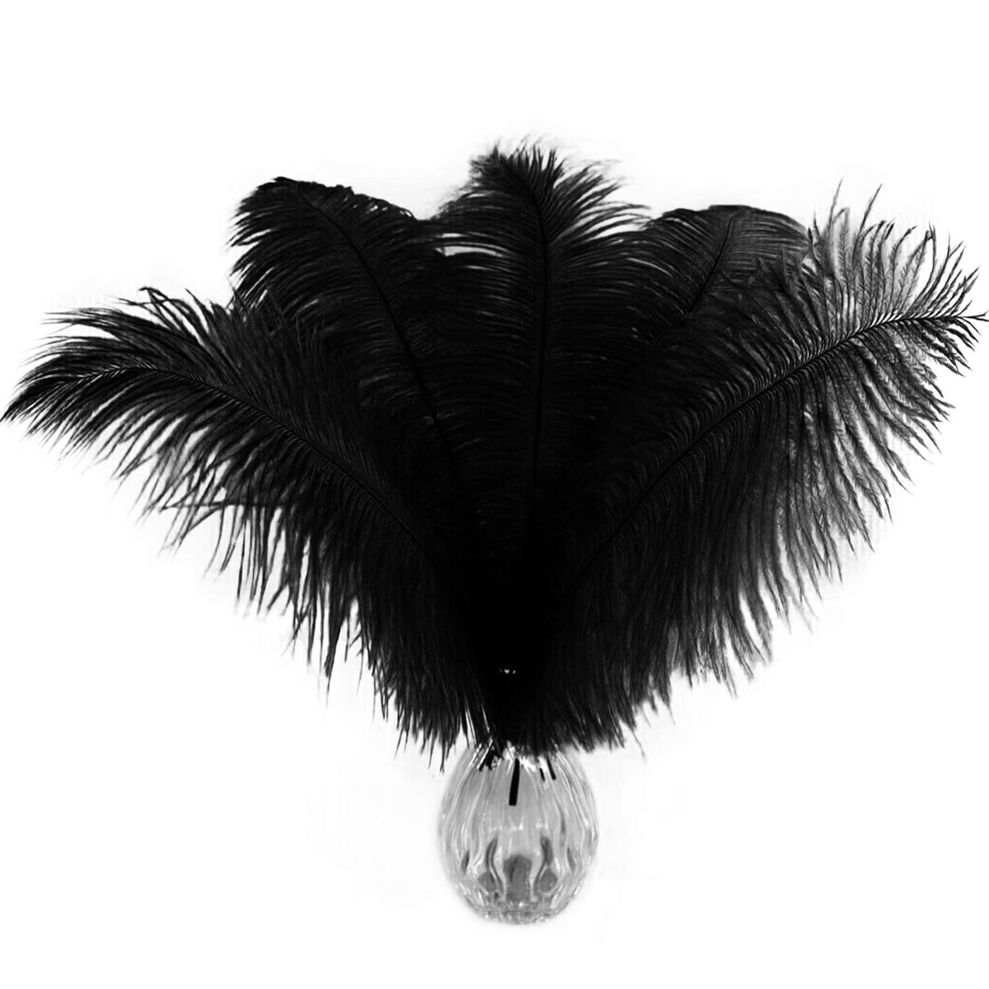 Piokio 10 pcs Black Ostrich Feathers Plumes 12-14 inch(30-35 cm) Bulk for DIY Halloween Decorations  Wedding Party Centerpieces  Gatsby Decorations
