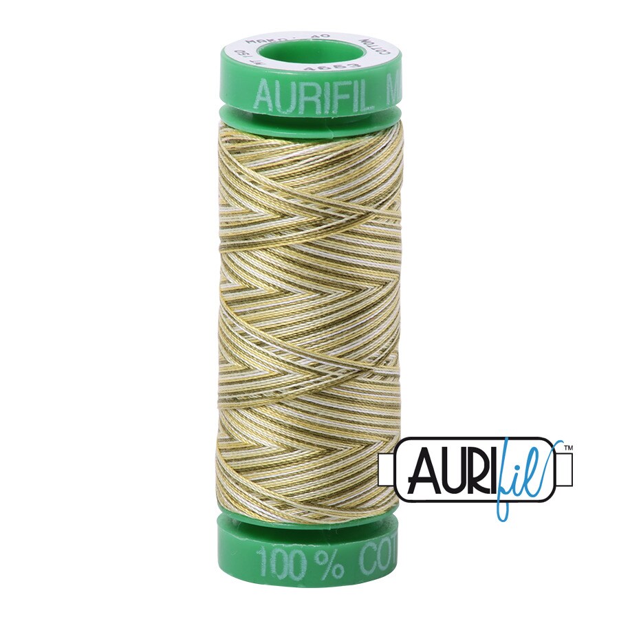 Spring Prairie - Variegated (4653) | 40wt Small Spool (150M / 164Y) | Aurifil Thread