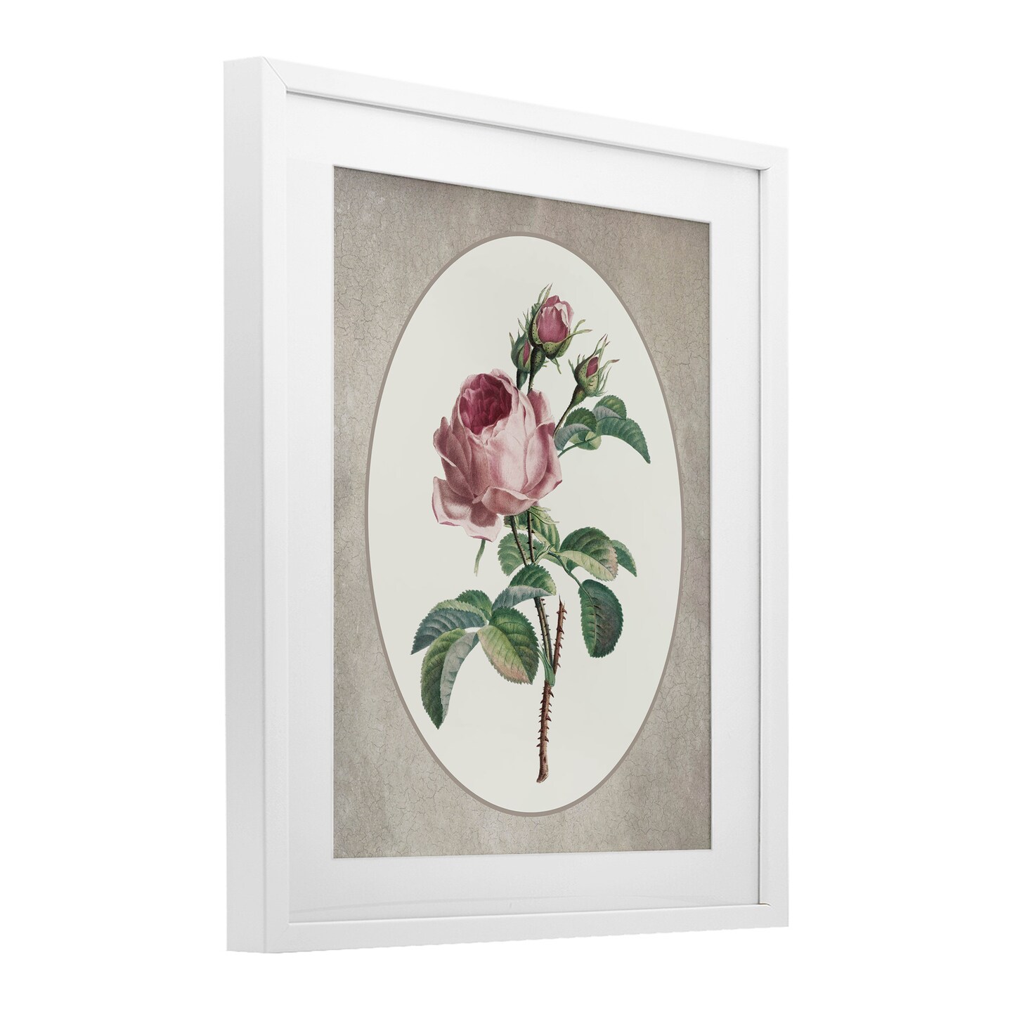 Stupell Industries Vintage Rose within Oval Framed Print Under Glass, design by Lettered and Lined