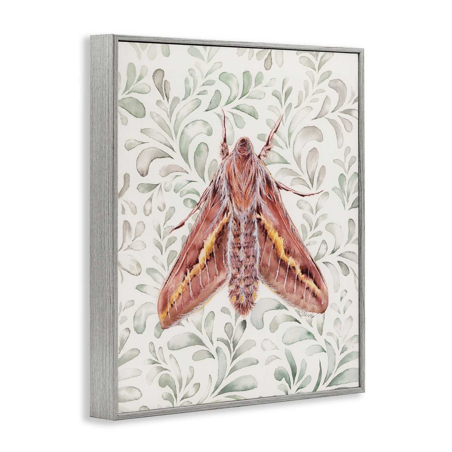 Stupell Industries Moth Over Leaf Sprigs Framed Giclee, design by Cady Driver