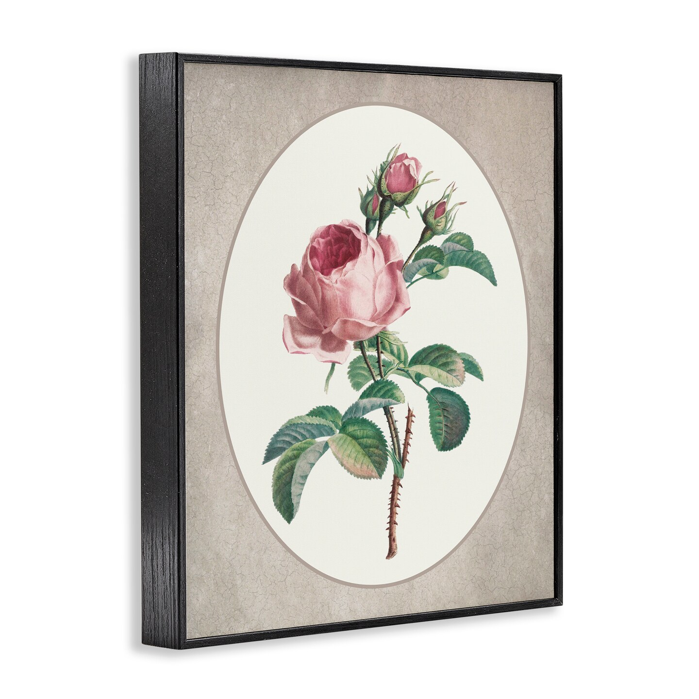 Stupell Industries Vintage Rose within Oval Framed Giclee, design by Lettered and Lined