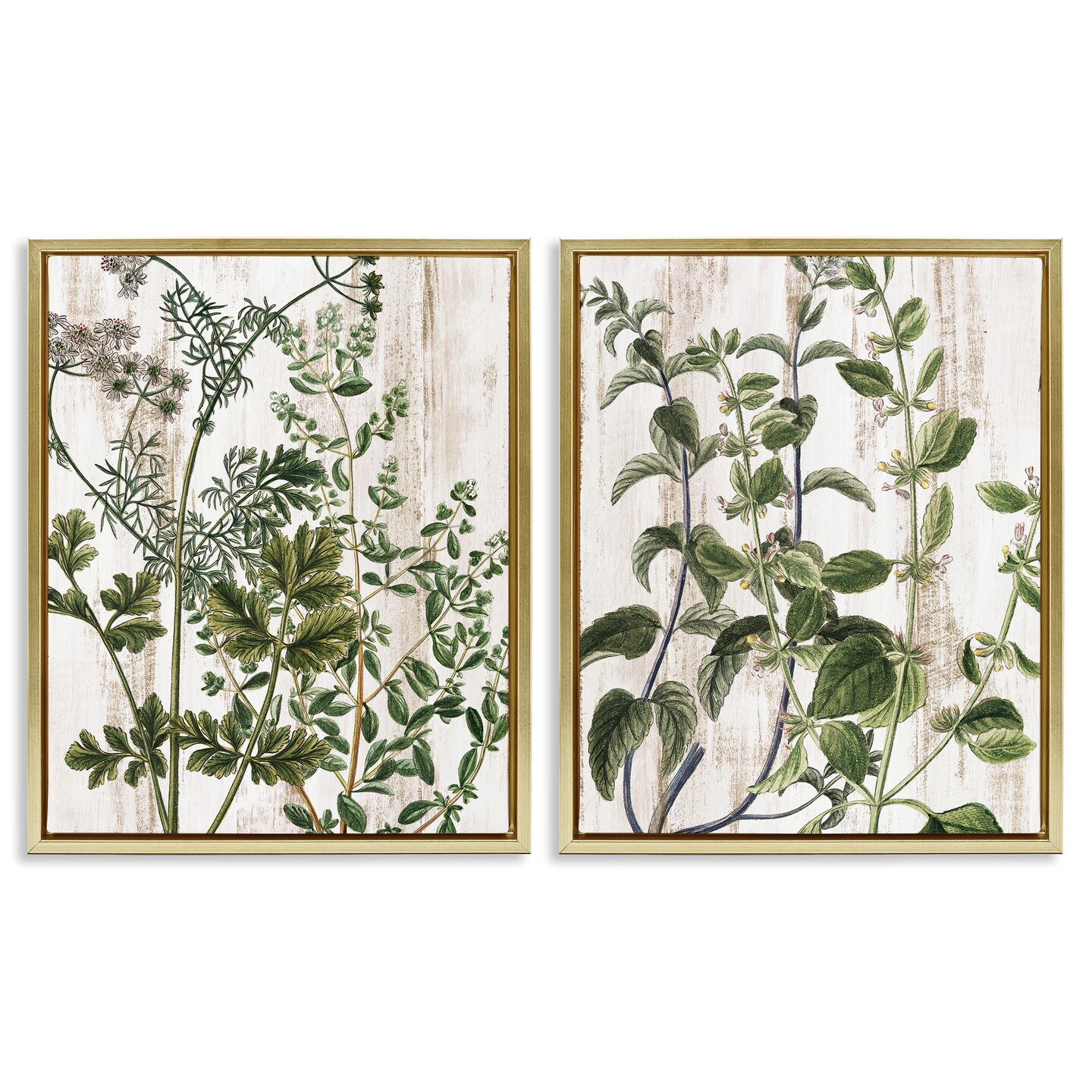 Stupell Industries Aged Botanical Leaves 2 pc Framed Floater Canvas Wall Art Set Design by Kim Allen