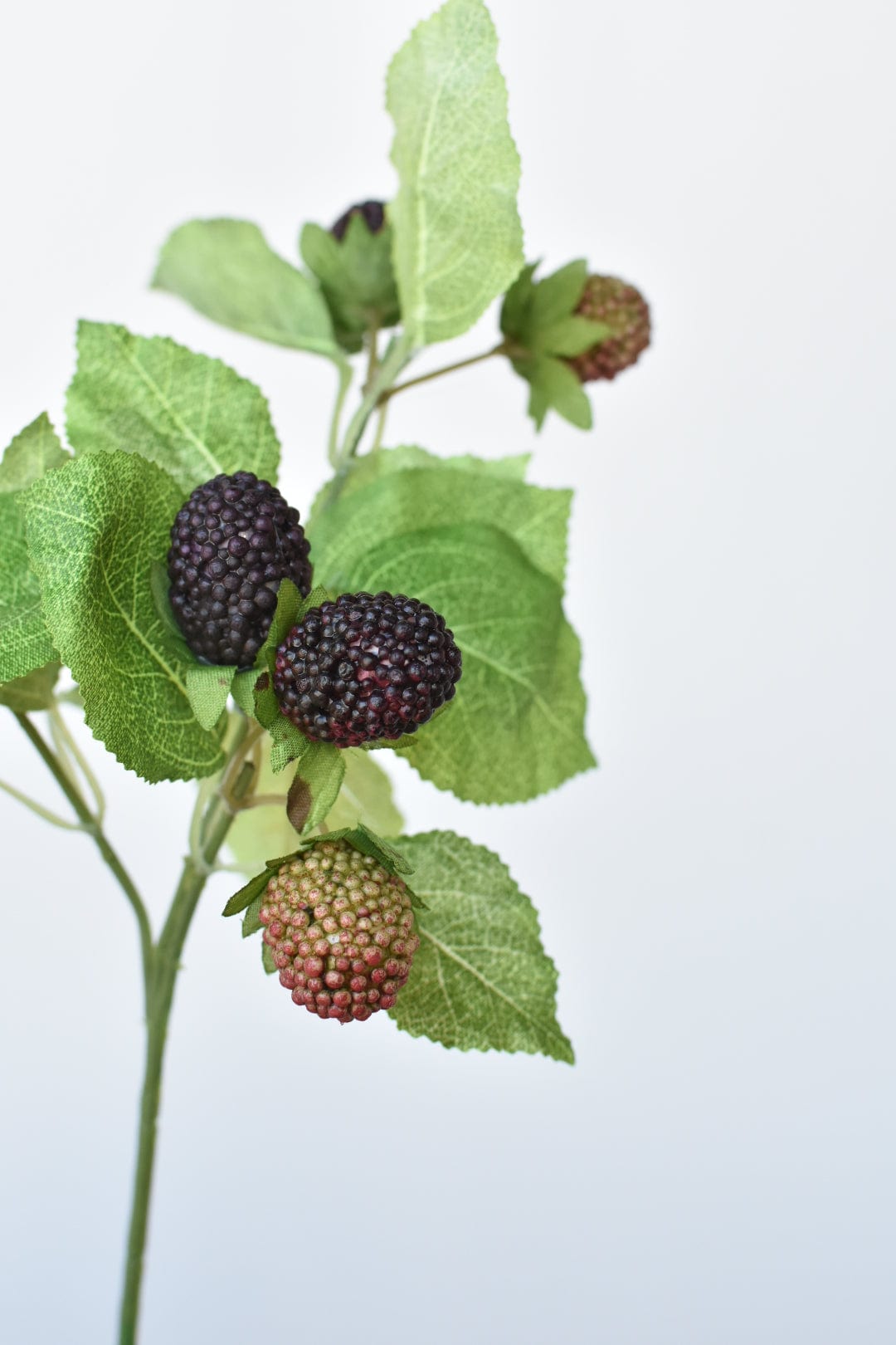 11&#x22; Faux Blackberry Stem