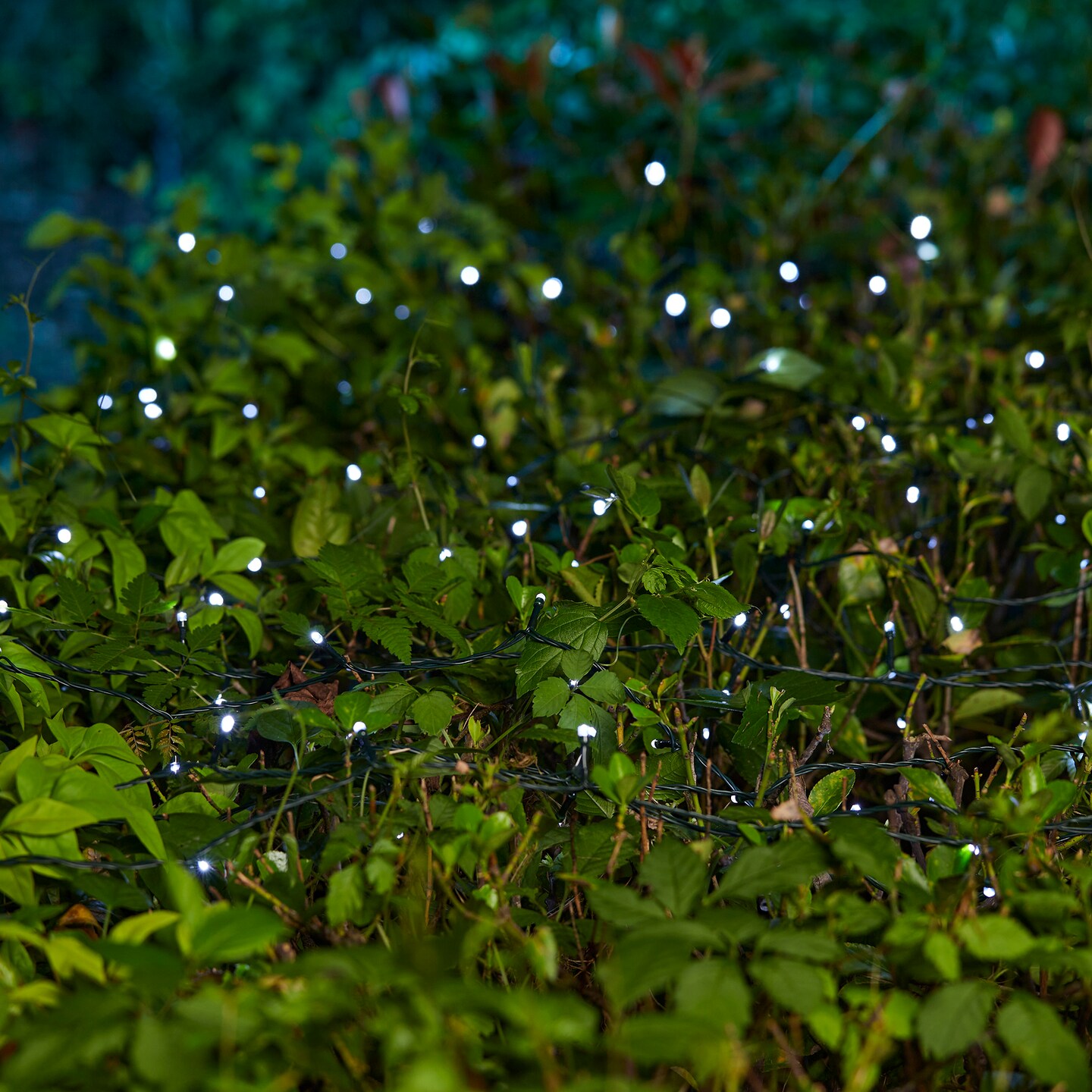 Set of 2 72 ft. Solar String Light with 200 LED Lights