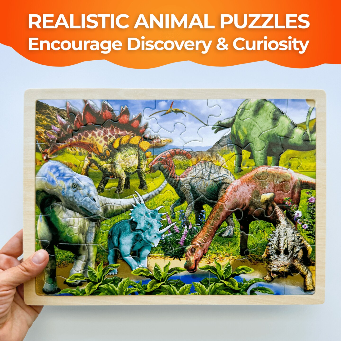 4 Set 36 Pcs Wooden Puzzles for Kids | Dinosaur World