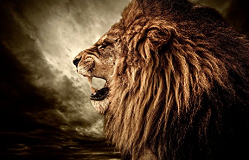 Lion in Moonlight Edible Cake Topper-1/4 Sheet