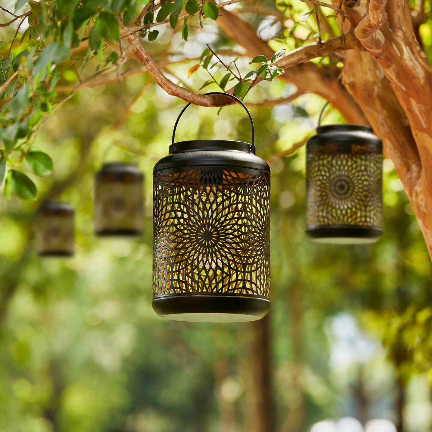 Set of 2/4 8.75&#x22;H Metal Cutout Scrollwork Solar Powered LED Outdoor Lantern with handle