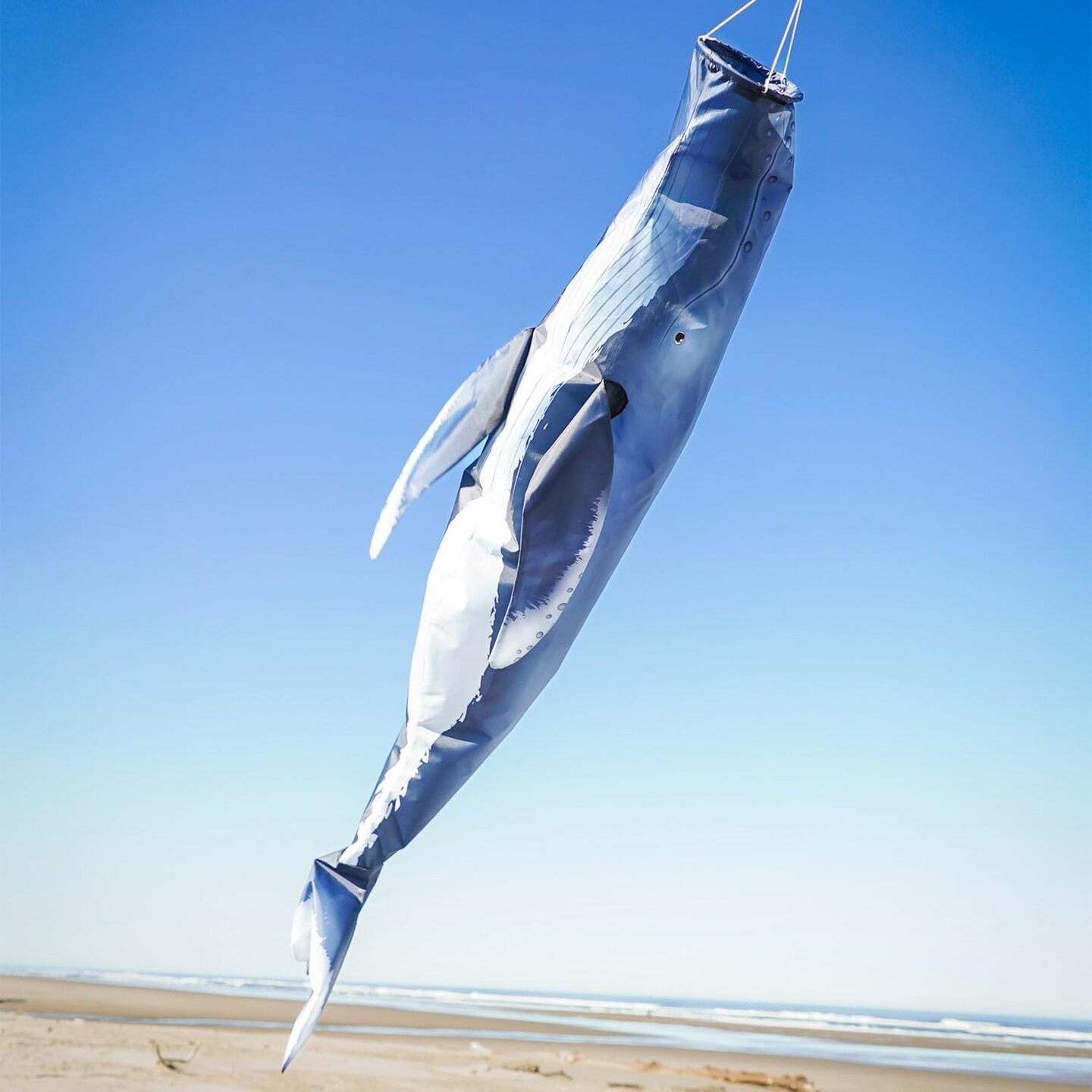 In the Breeze 5243 — Humpback Whale 48-inch Fish Windsock — Detailed, Fully Printed Inflatable Windsock