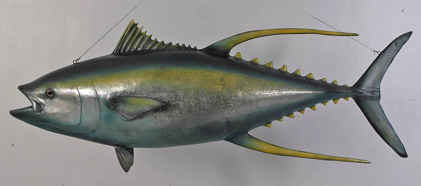 Yellow Fin Tuna Fish Statue