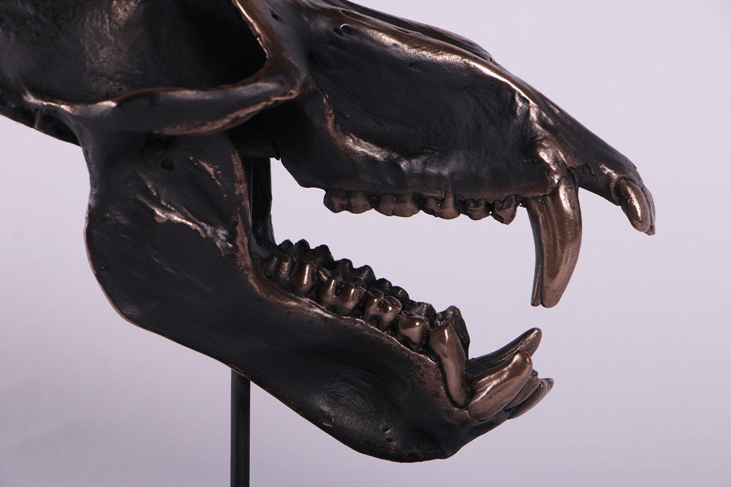 Monkey Baboon Skull Life Size Statue