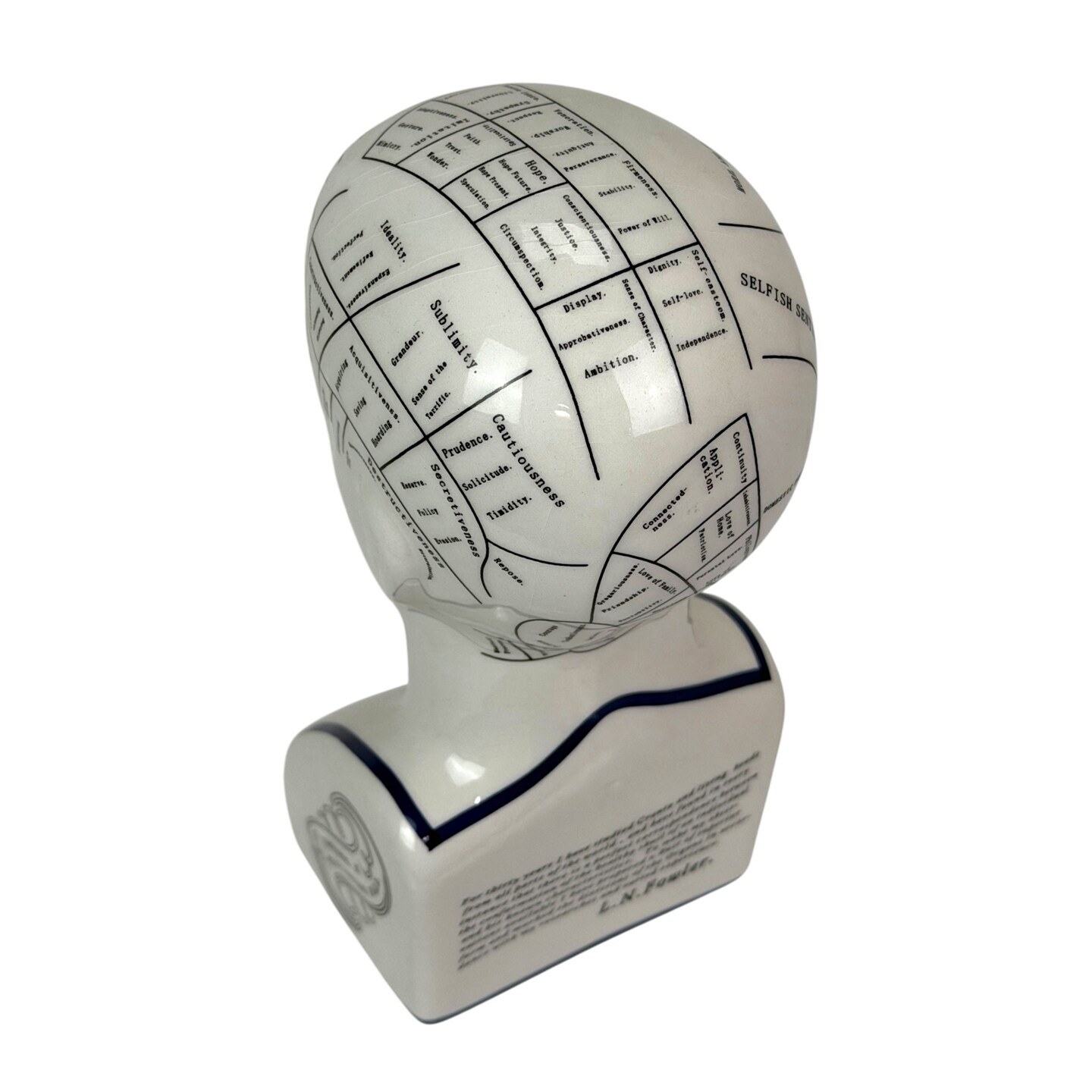 Ceramic Phrenology Bust Collectible Figurine Glossy White Scientific Decor