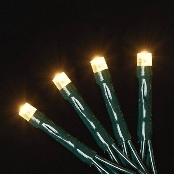 USB powered 200 LED (52 foot) Green Wire Multifunction Lights with Timer - Warm White