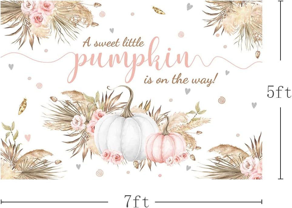 7x5ft Autumn Boho Little Pumpkin Backdrop for Girl Baby Shower Fall Leaves