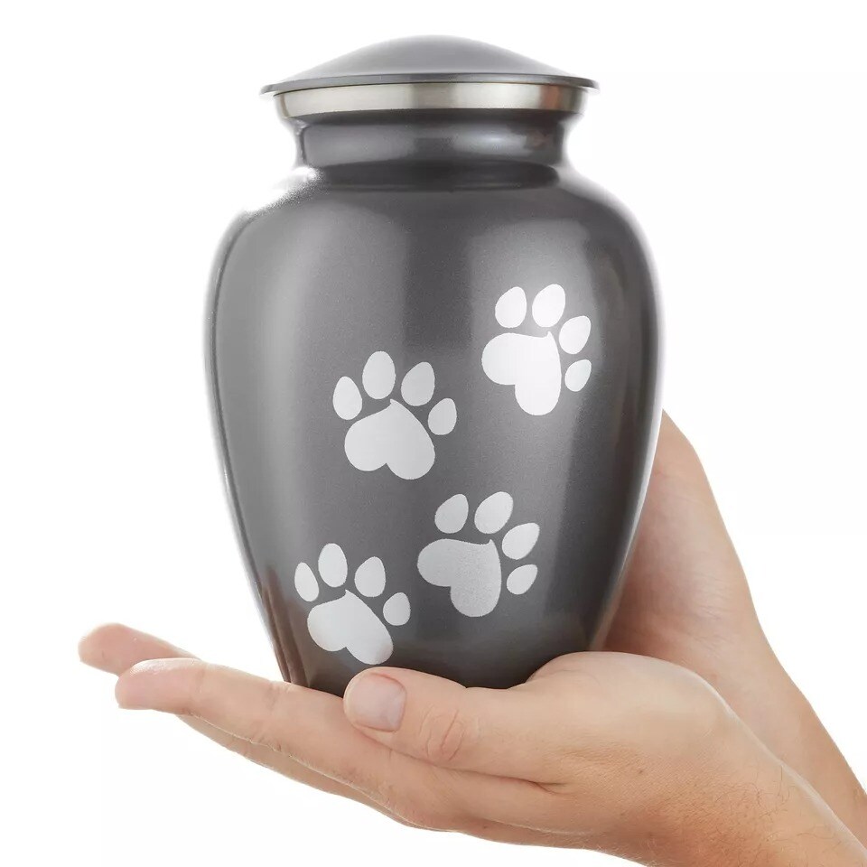 Pet Urn for Dog & Cat Ashes - Cremation Memorial Medium Gray Urn to 70 lbs