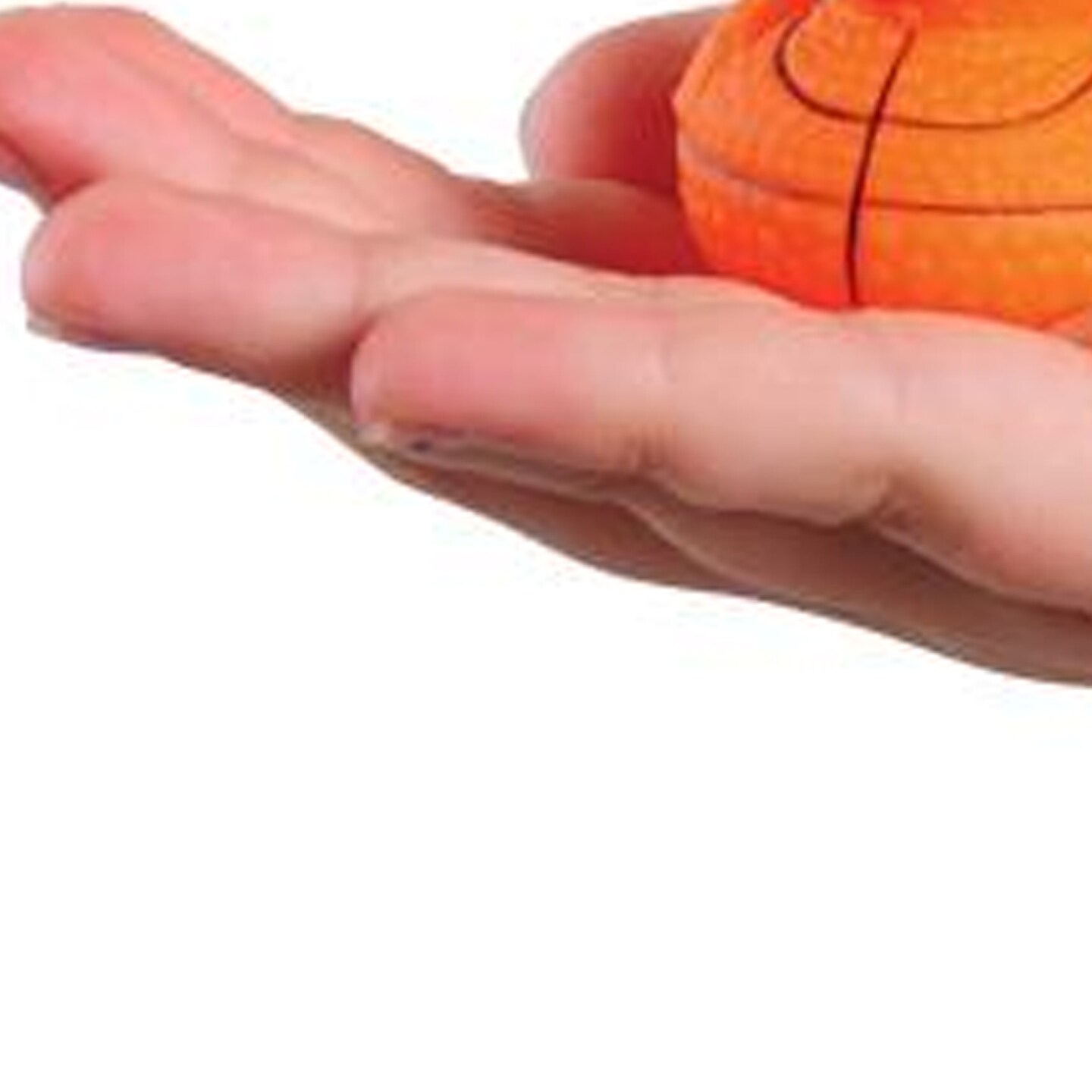 Mini Sports Ducks Include 12 Units