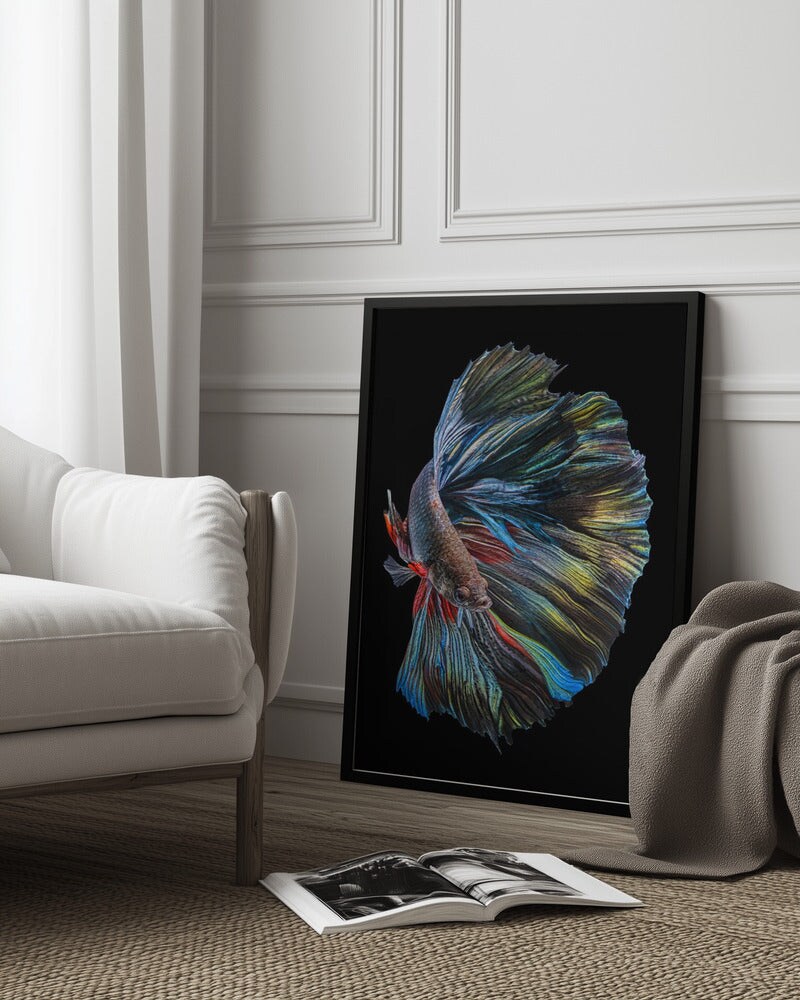 The  Betta Fish - Andi Halil 24x36 Black Framed Art | Home or Office Art