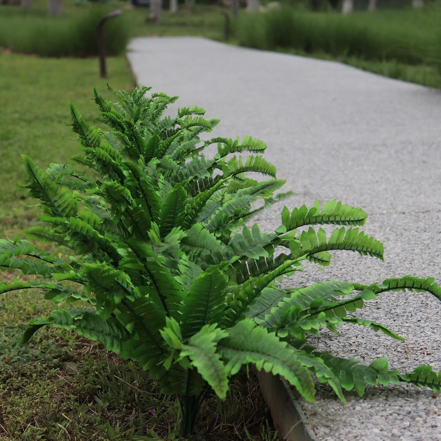 Artificial Fake Ferns, 2pcs Artificial Boston Fern Plant, 24 Leaves for Each Bouquet, Artificial Plant for Indoor, Outdoor, Home Decor, Garden Decor,Green