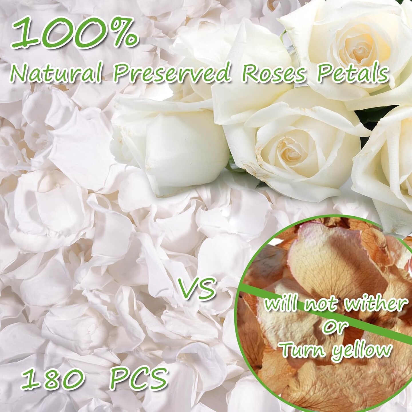 Dried Real White Rose Petals, Freeze Preserved Flower Petals for Wedding Party Decor, Rose Petals for Romantic Night Wedding
