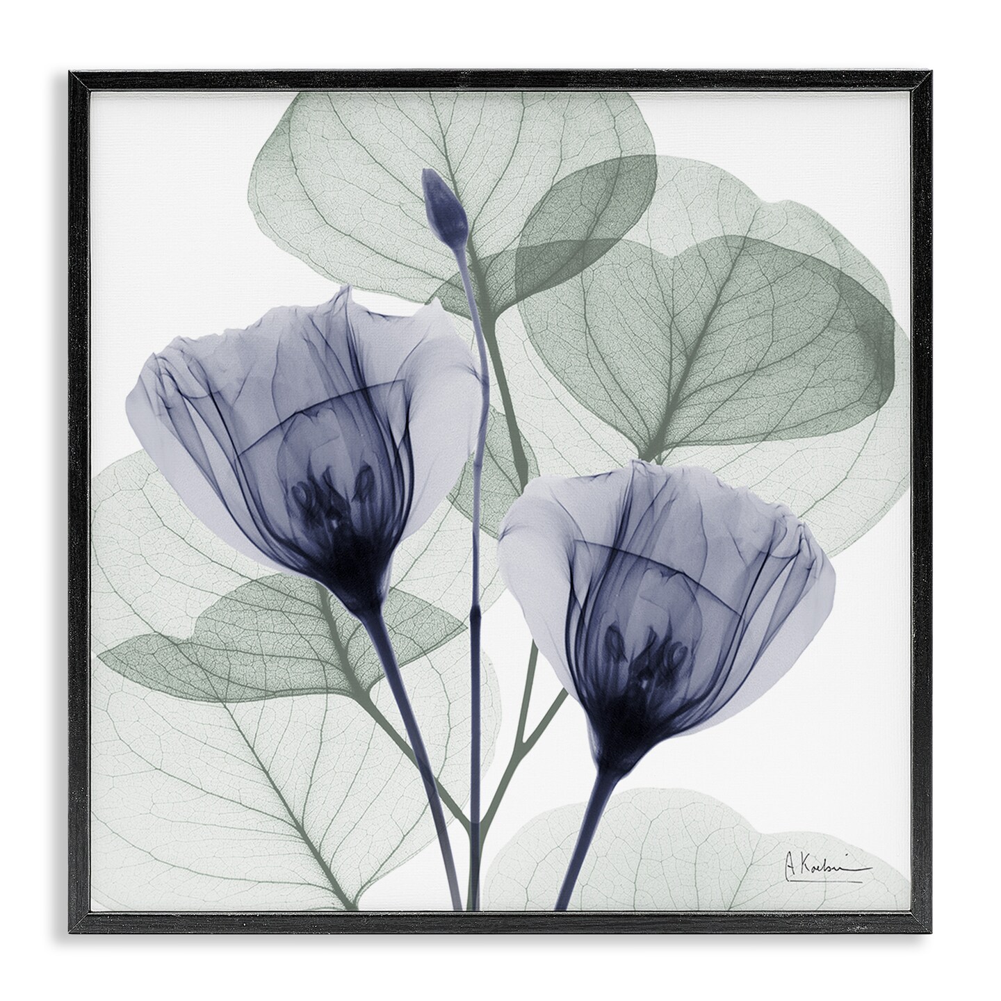 Stupell Industries Contemporary Eucalyptus & Herbs Framed Giclee Design by Albert Koetsier
