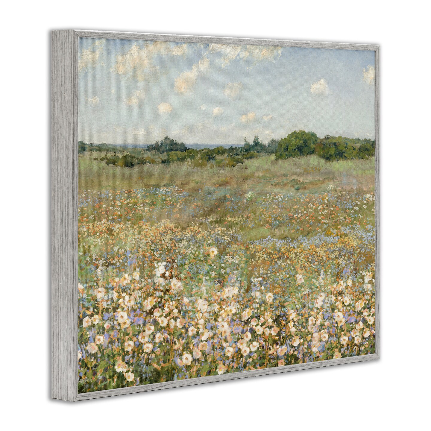 Stupell Industries Vast Flower Speckled Meadow Framed Giclee Design by Amber Sterling