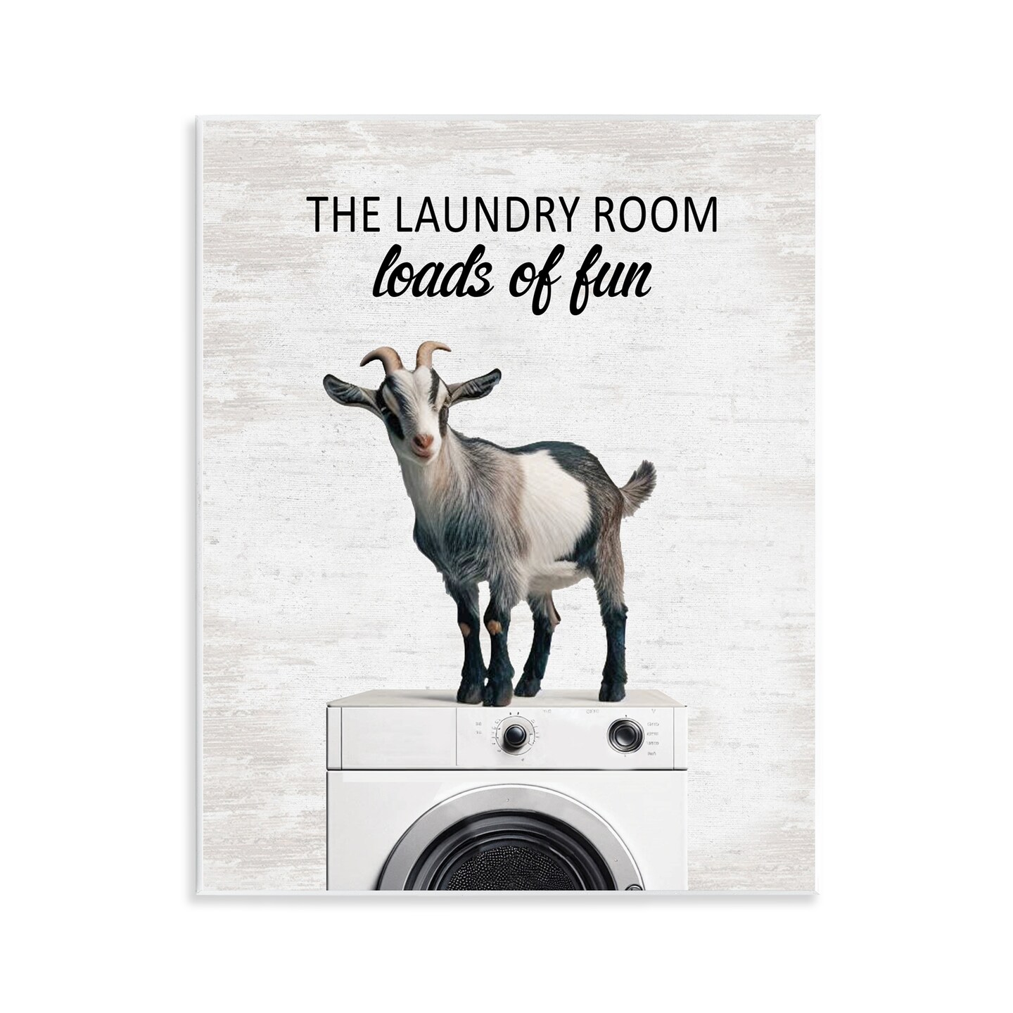 Stupell Industries Loads of Fun Laundry Goat Wall Plaque Design by Lettered and Lined