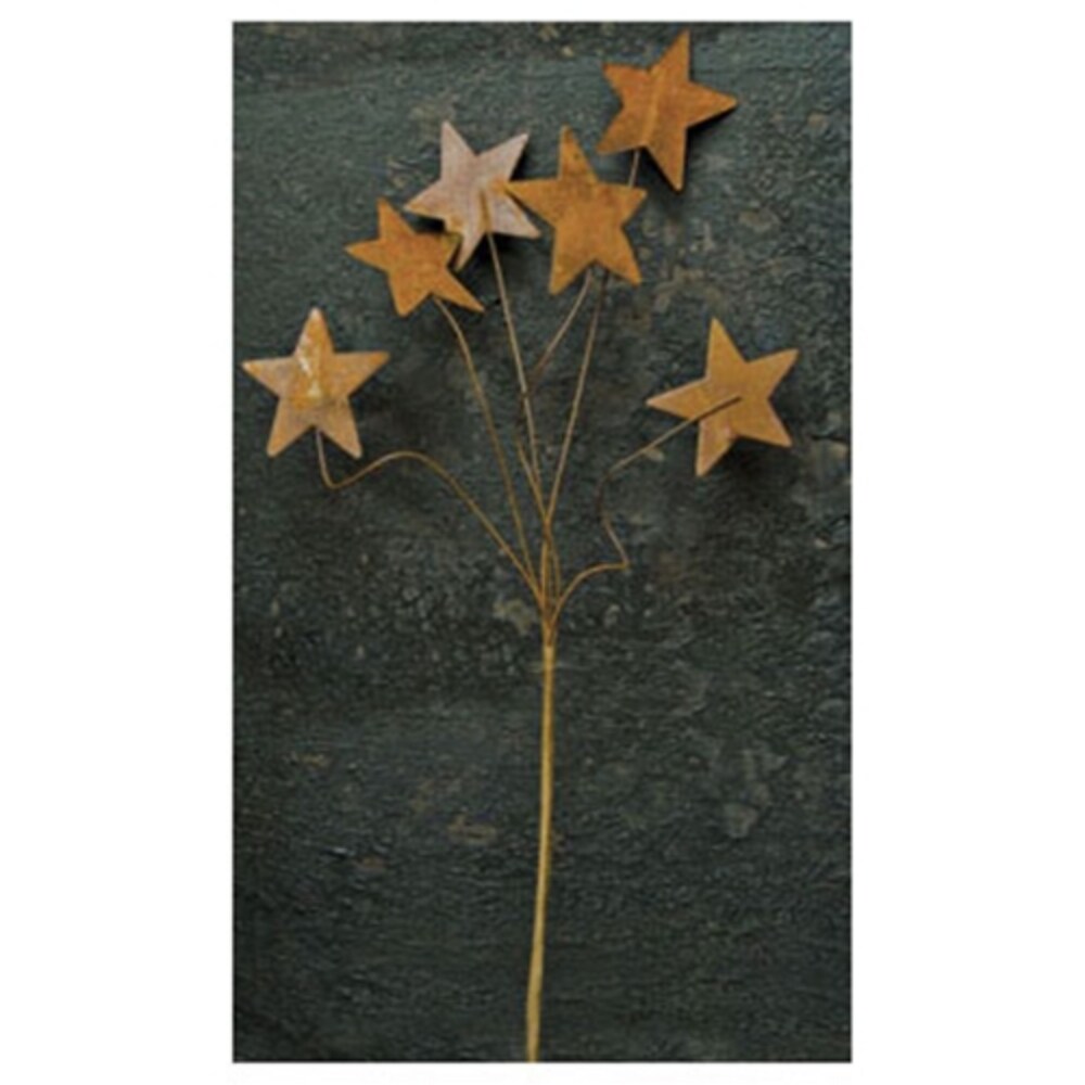 12&#x22; Rusty Brown Metal Star Pick for Floral Arrangements, Baskets and Home