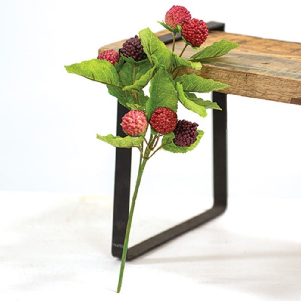 Fresh Raspberry Pick Stem for Wreaths and Floral Arrangements 10.5 Inches