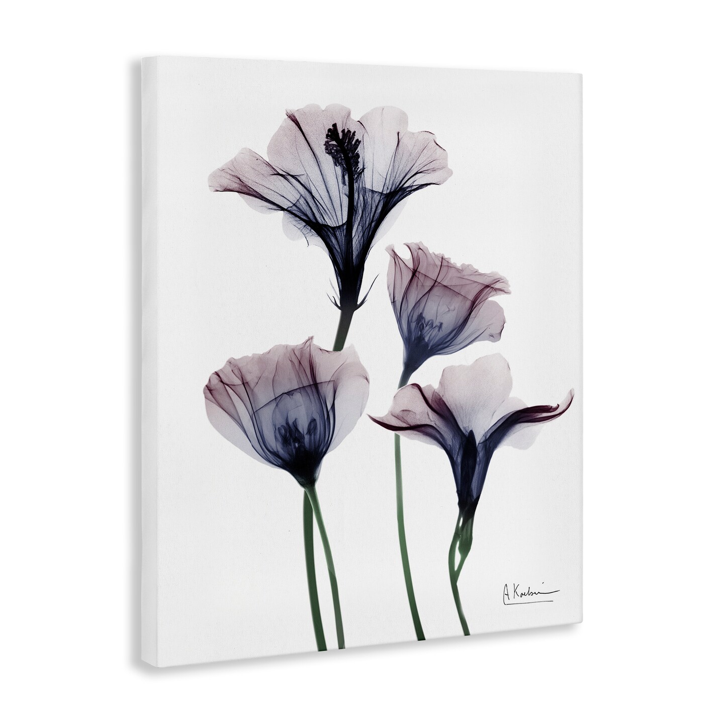 Stupell Industries Bountiful Dusk Flowers Canvas Design by Albert Koetsier