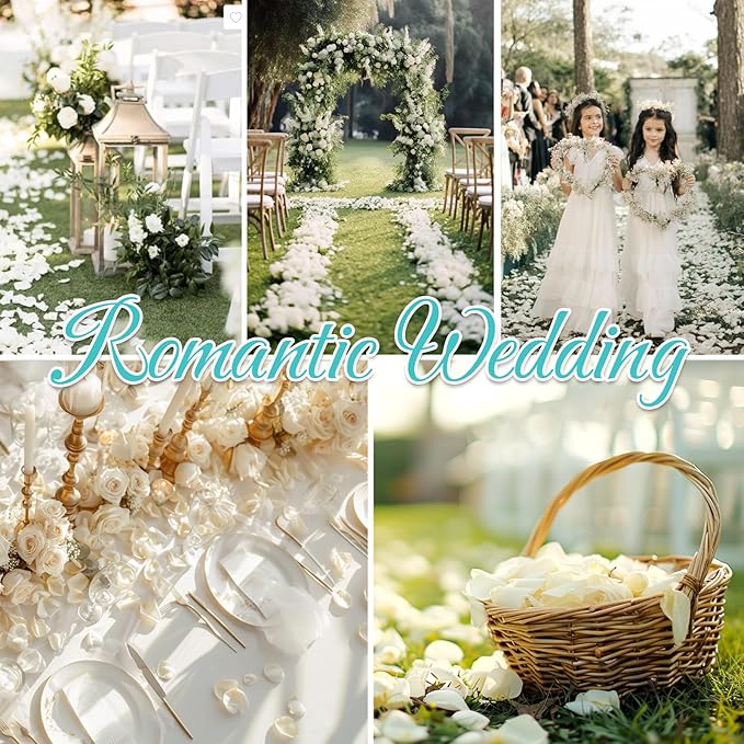 Real Dried Ivory White Rose Petals, Frozen Preserved Petals for, Wedding Party Decorations