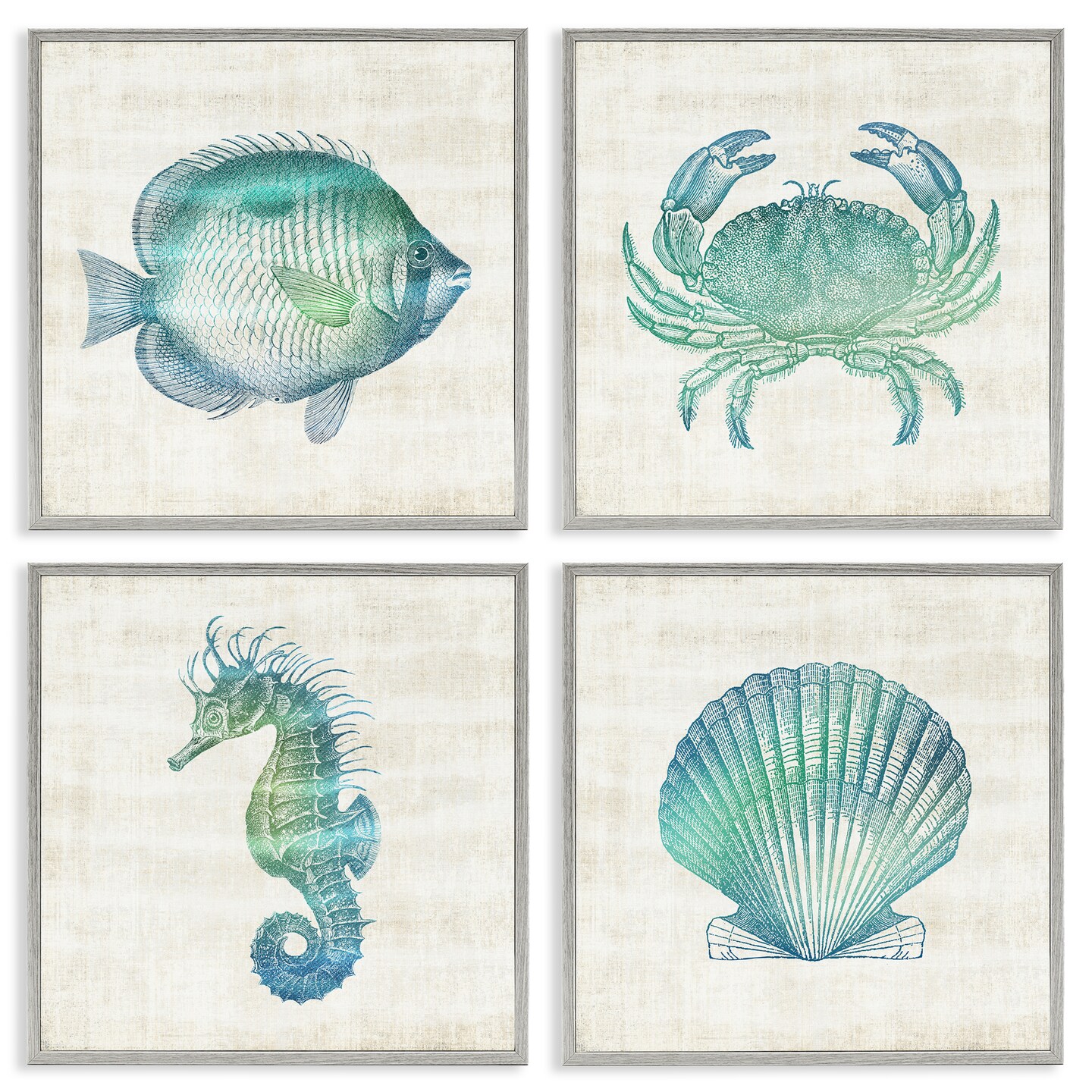 Stupell Industries Aquatic Sea Life Impressions 4pc Framed Giclee Set Design by Susan Arnot
