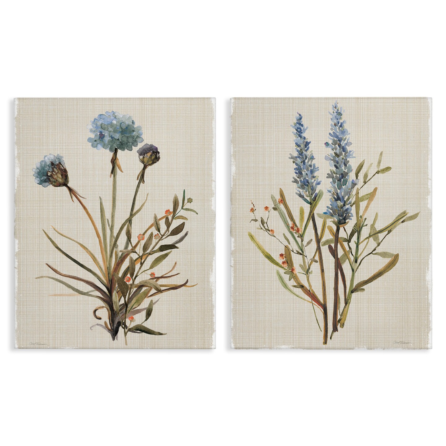 Stupell Industries Natural Budding Blooms 2pc Canvas Set Design by ...