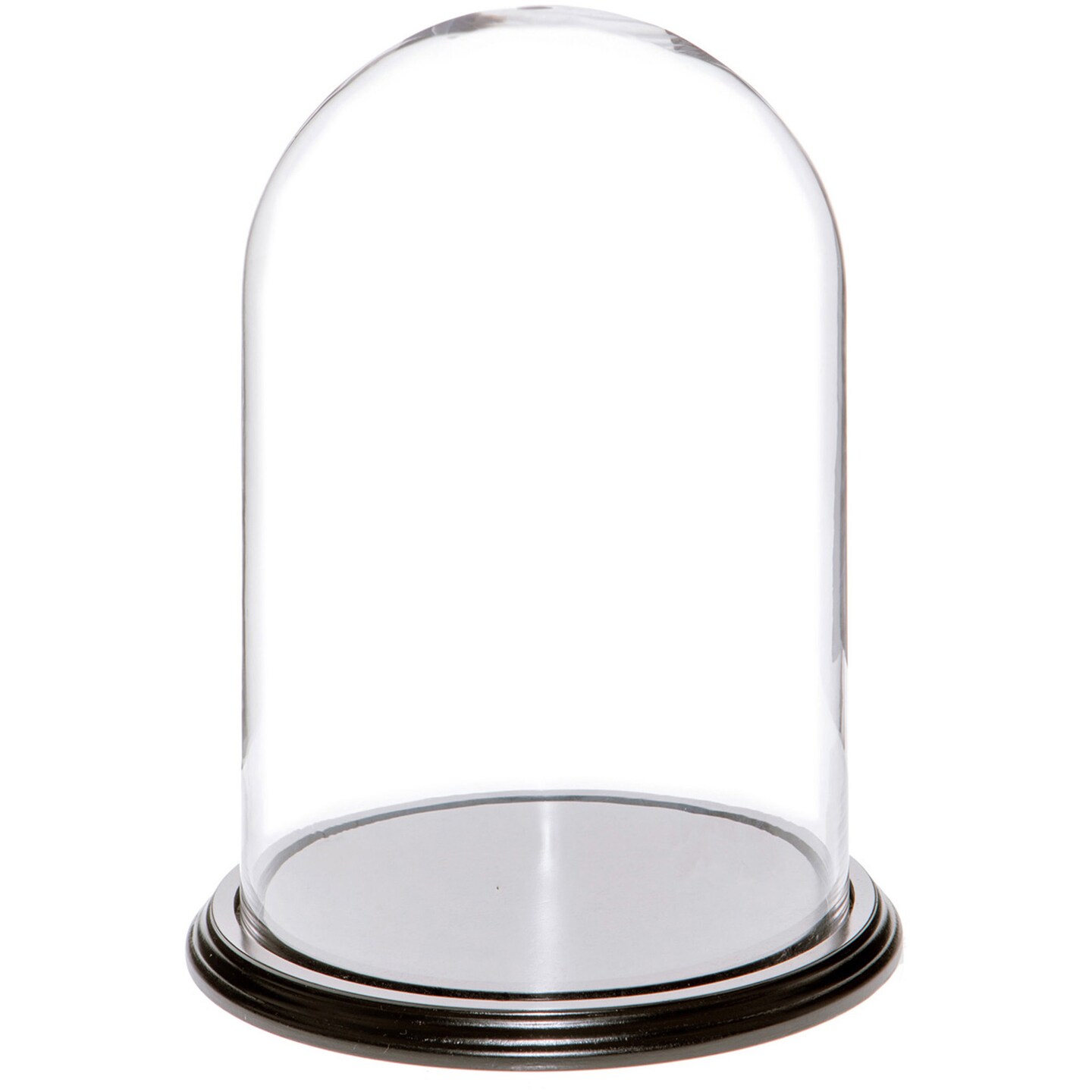 Plymor 8&#x22; x 12&#x22; Glass Display Dome Cloche