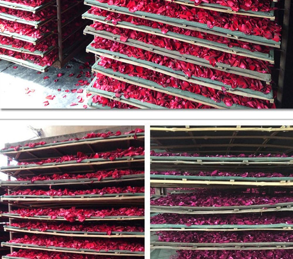 TooGet Dried Real Rose Petals, All Natural, Dried Flower Petals for Herbal Tea, Dried Rose Petals for Wedding Party Decoration