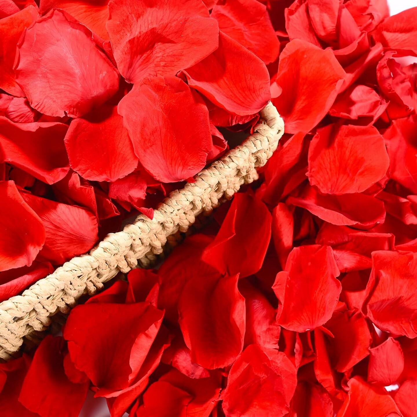 230 PCS Red Dired Rose Petals 2.1oz/60g Natural Real Rose Flower Petals for Wedding