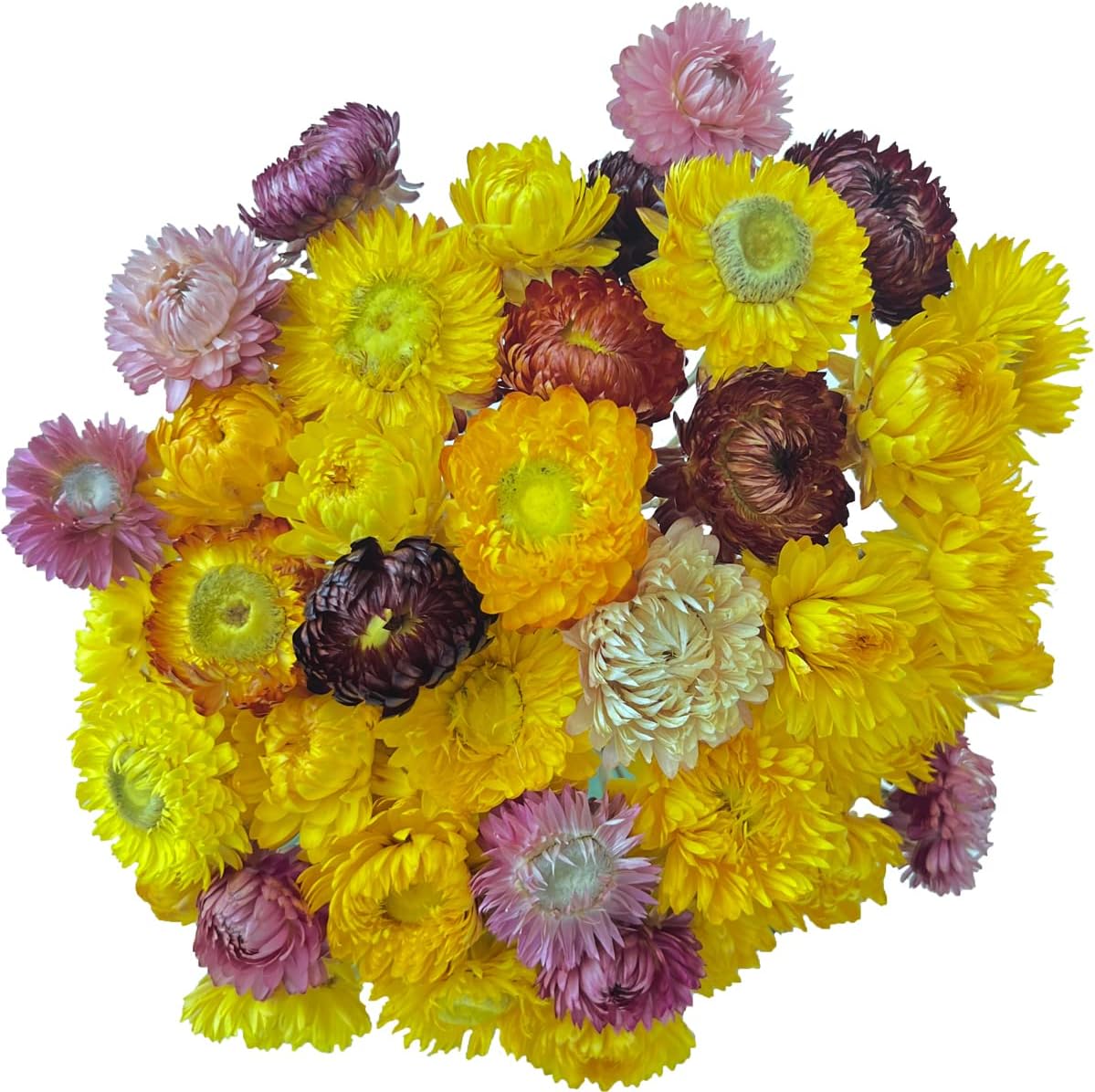 40 Pcs Natural Dried Daisy Flowers with Stems &#x2013; Summer Rustic Dried Flower Bouquet for Tabletop Decor, Wedding, Home, Office, Party, DIY Floral Arrangements &#x26; Crafts