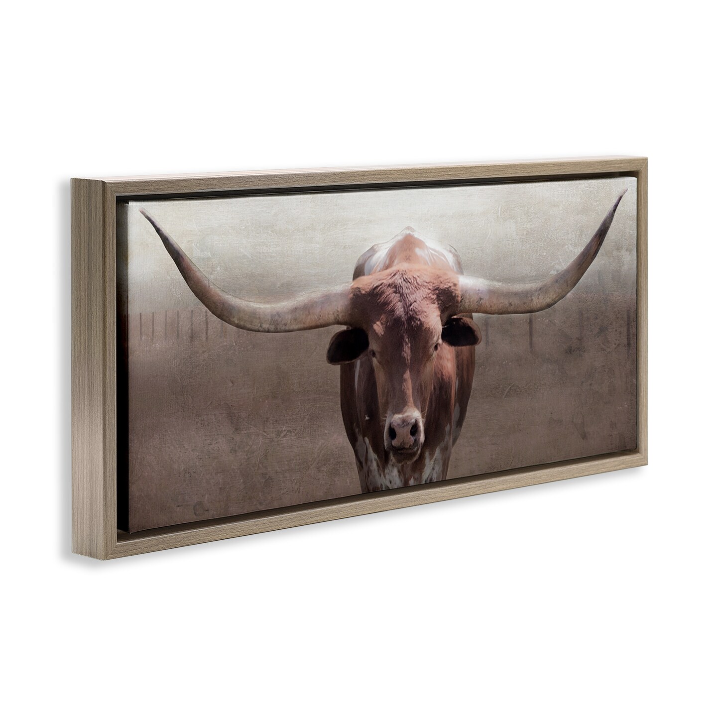 Stupell Industries Rustic Western Longhorn Floating Frame Design by Carol Robinson