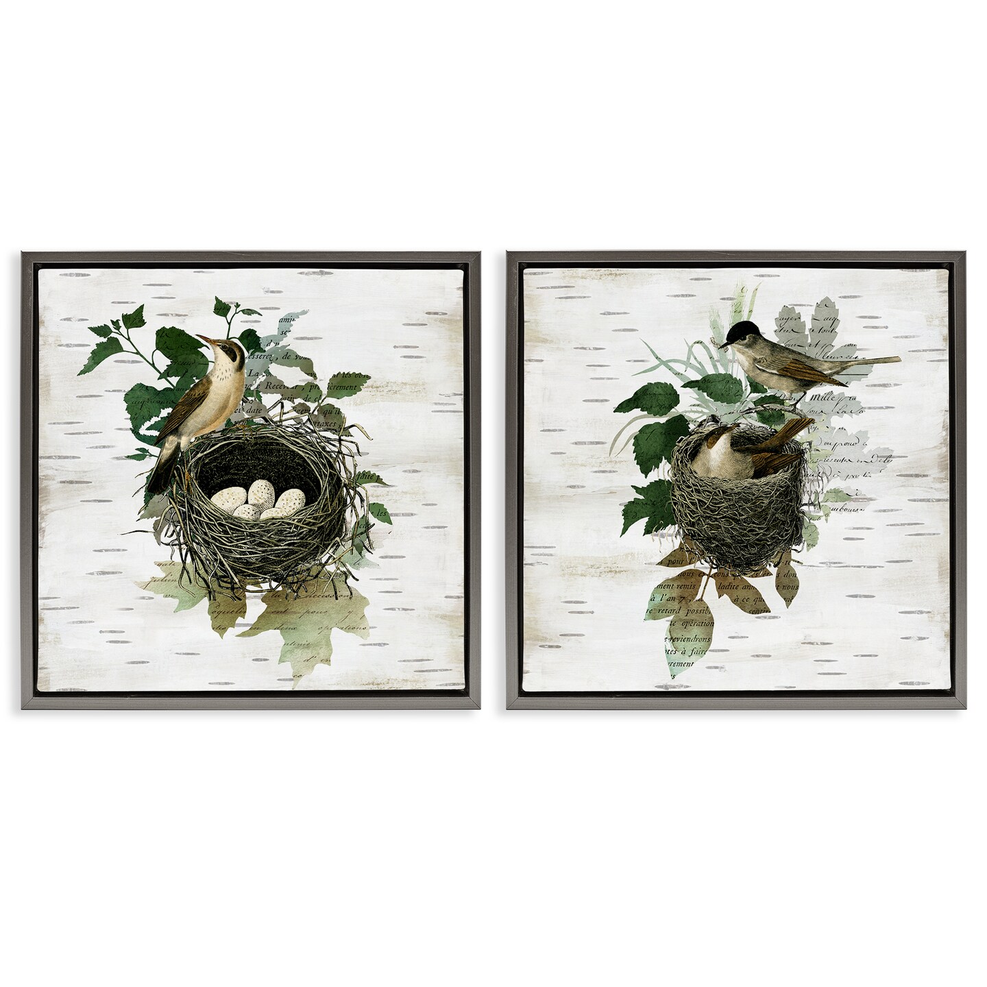 Stupell Industries Rustic Vintage Bird Nests 2pc Floating Frame Set Design by Susan Arnot
