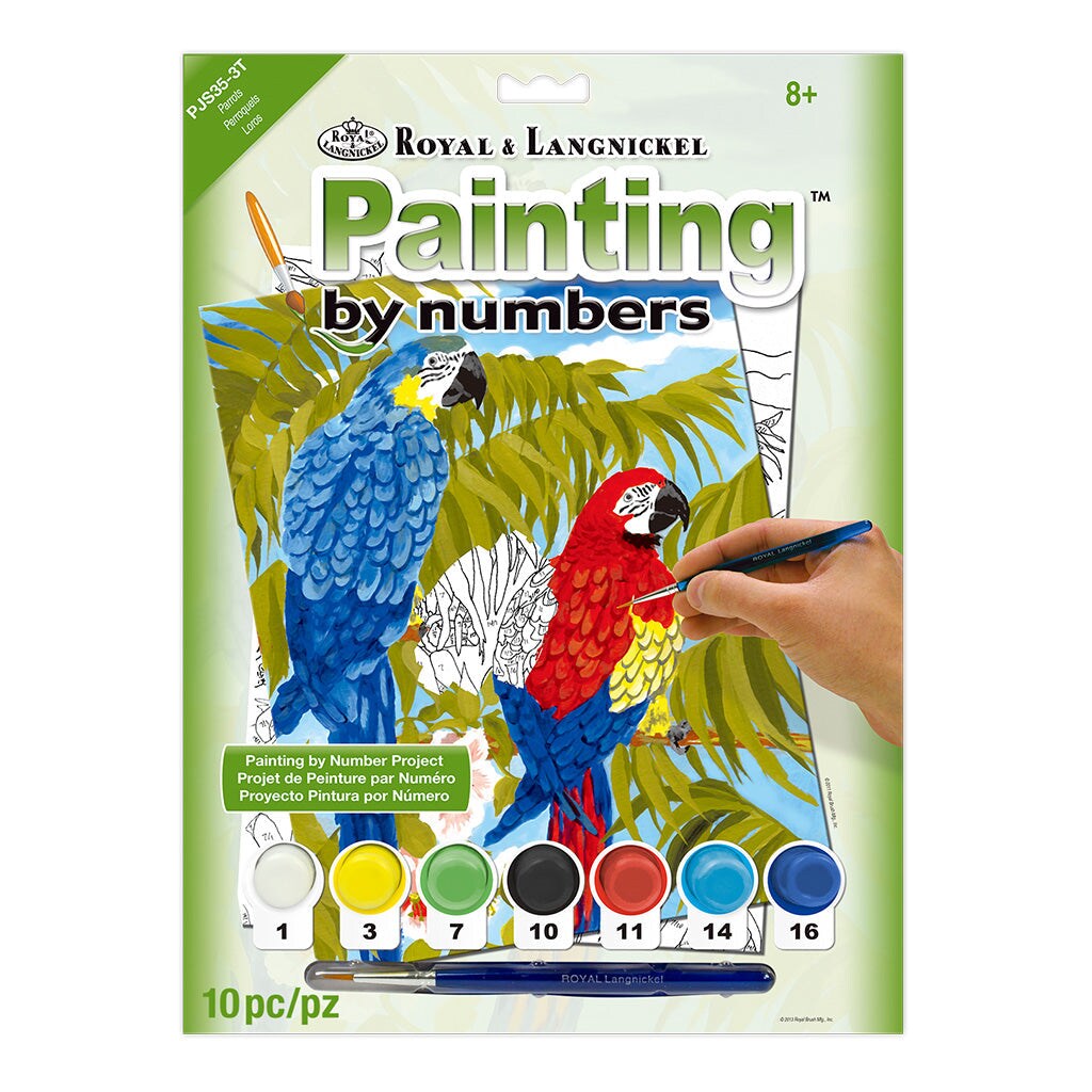 PJS35 | Painting by numbers™ 10pc 8.75" x 11.375" Parrots Painting Project