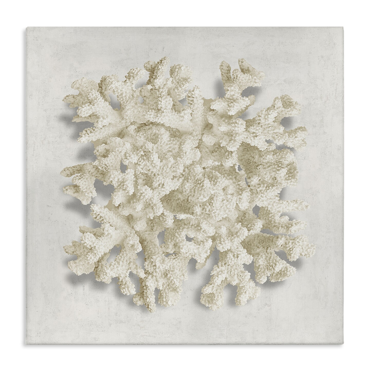 Stupell Industries Aquatic Neutral Coral Canvas Design by Caroline ...