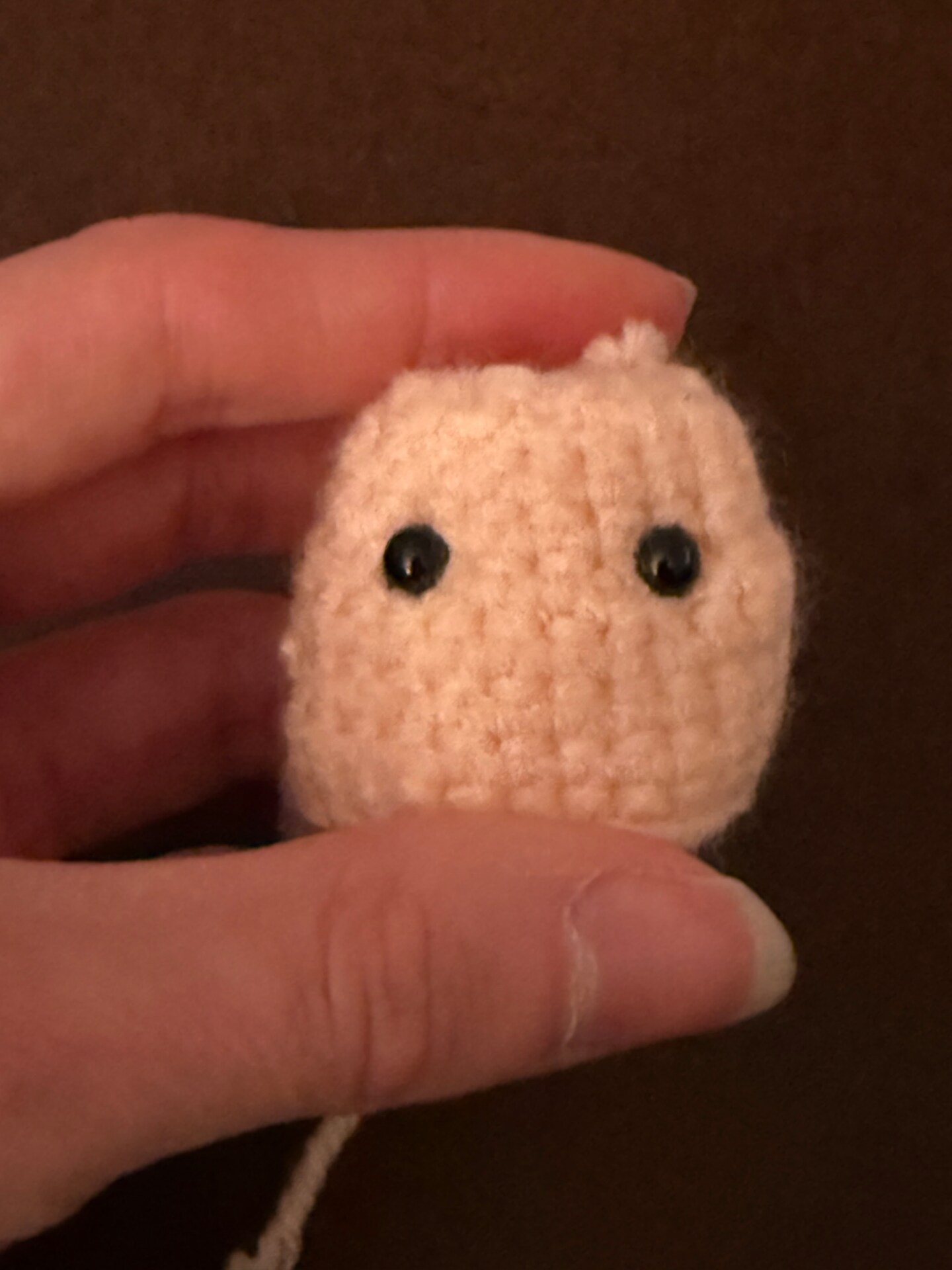 Mini Crocheted Mushroom image 4