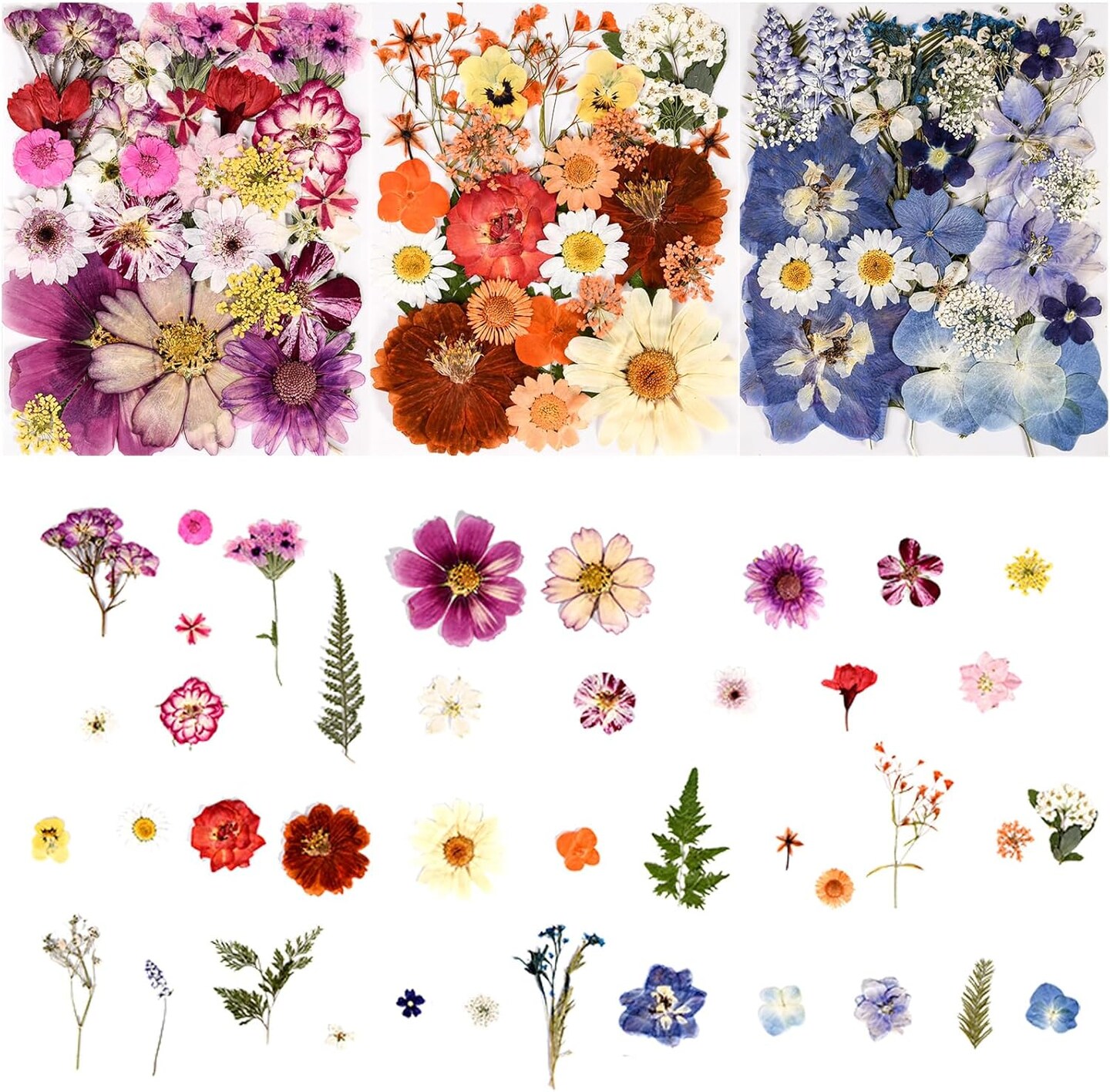 110+PCS Real Pressed Dried Flowers & Leaves for Resin, Jewelry, Soap, Candle, Scrapbooking, Nails, and DIY Crafts – Colorful Assorted Botanical Set with Tweezers (Colorful-c)