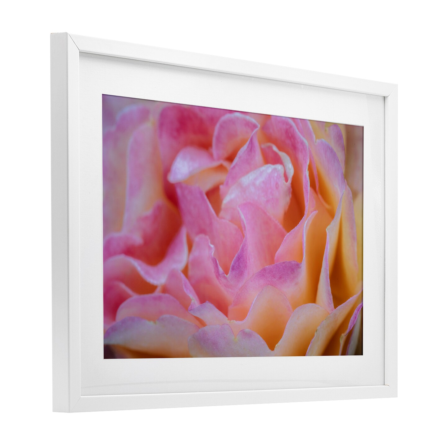 Stupell Industries Pink Floral Petals Palette Framed Print Under Glass, design by James Rodewald