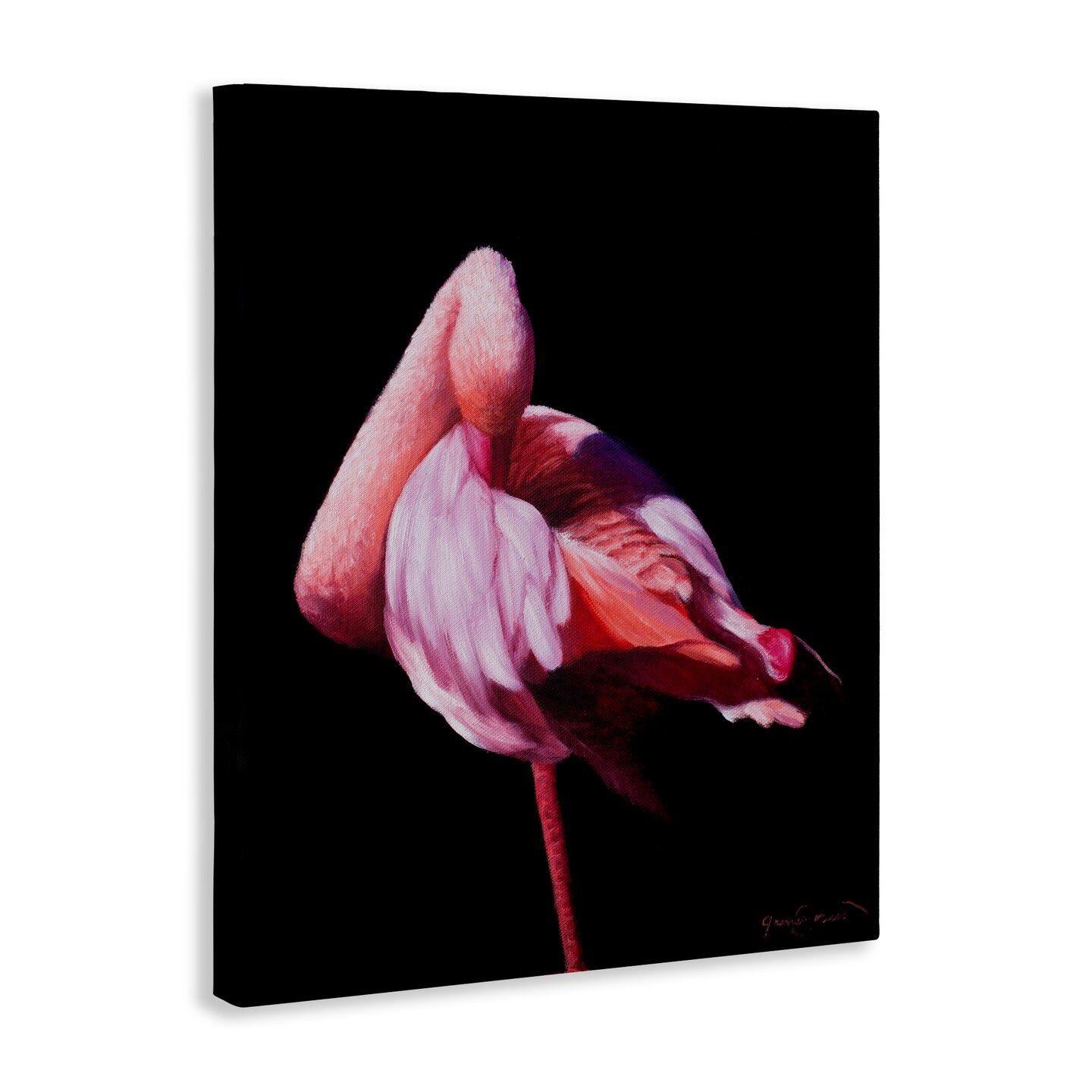 Stupell Industries Avian Contrast Flamingo Canvas, design by James Corwin