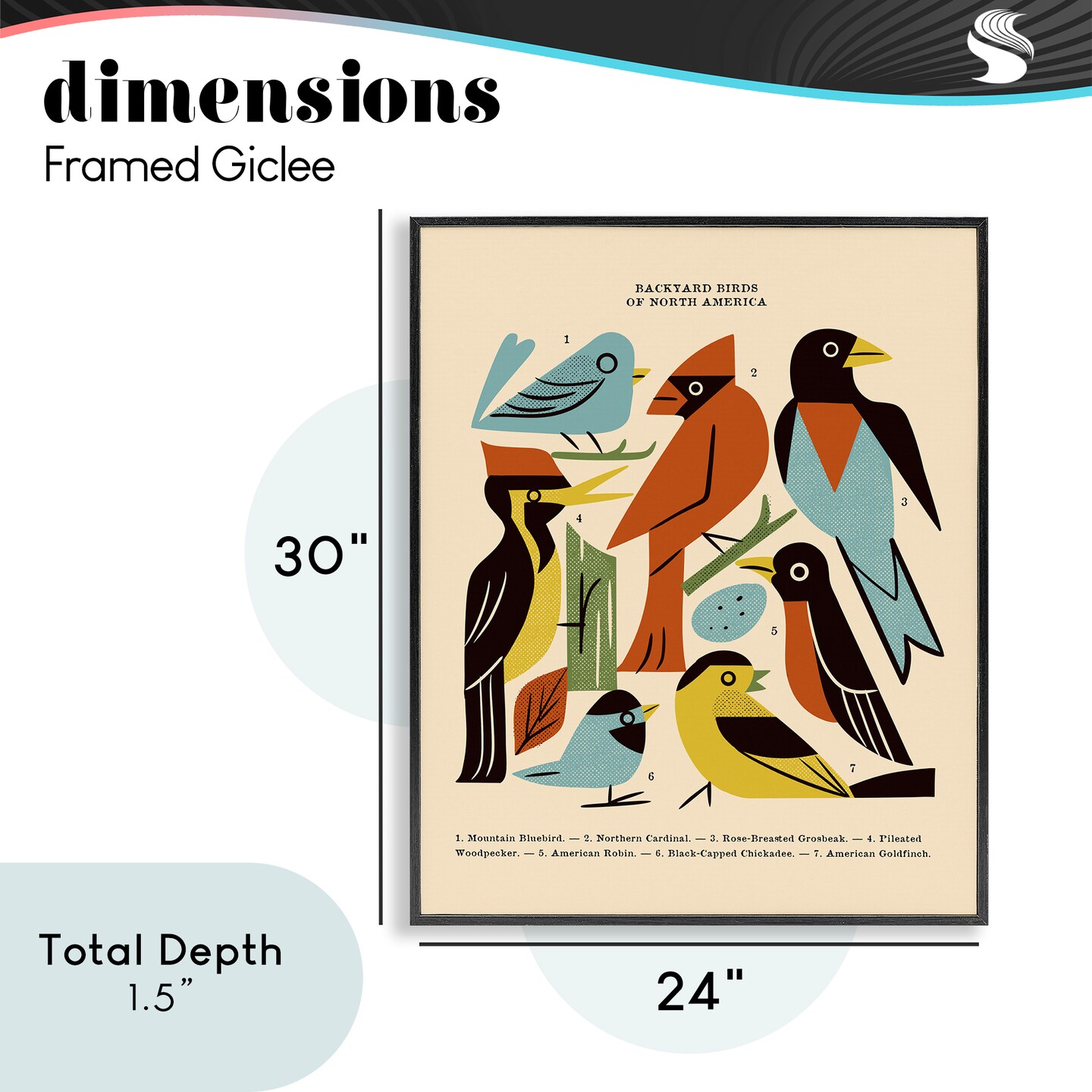Stupell Industries Backyard Birds Midcentury Modern Framed Giclee, design by Renea L. Thull